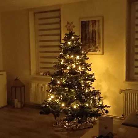 Appartamento Wohlfuehl-wohnung-im-herzen-von-clausthal Clausthal-Zellerfeld